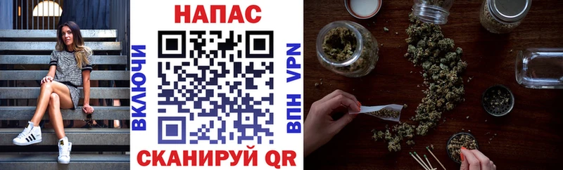 Купить наркотики Сланцы ГАШИШ  Конопля  A PVP  Мефедрон  Кокаин 