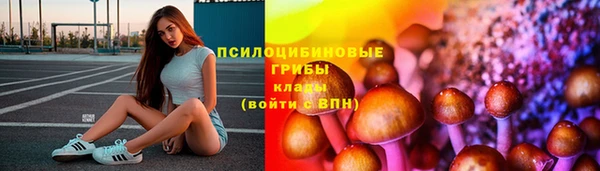 гашик Арсеньев