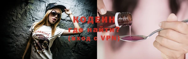 гашик Арсеньев