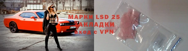 гашик Арсеньев