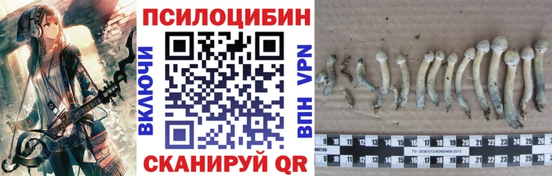 Галлюциногенные грибы мицелий  мега ССЫЛКА  Сланцы 